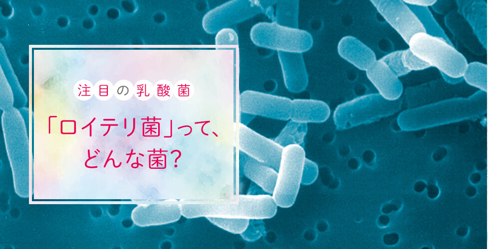 注目の乳酸菌「ロイテリ菌」って、どんな菌？